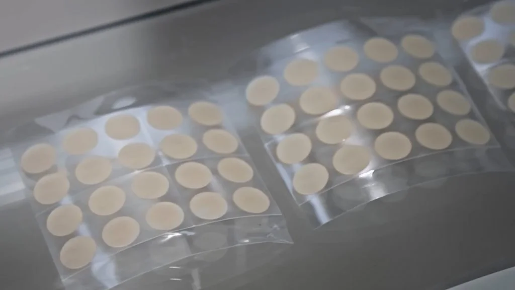 Clear adhesive patch sheets laid out on a reflective surface, each sheet containing multiple circular patches.